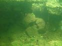 Scuba Table Rock 054